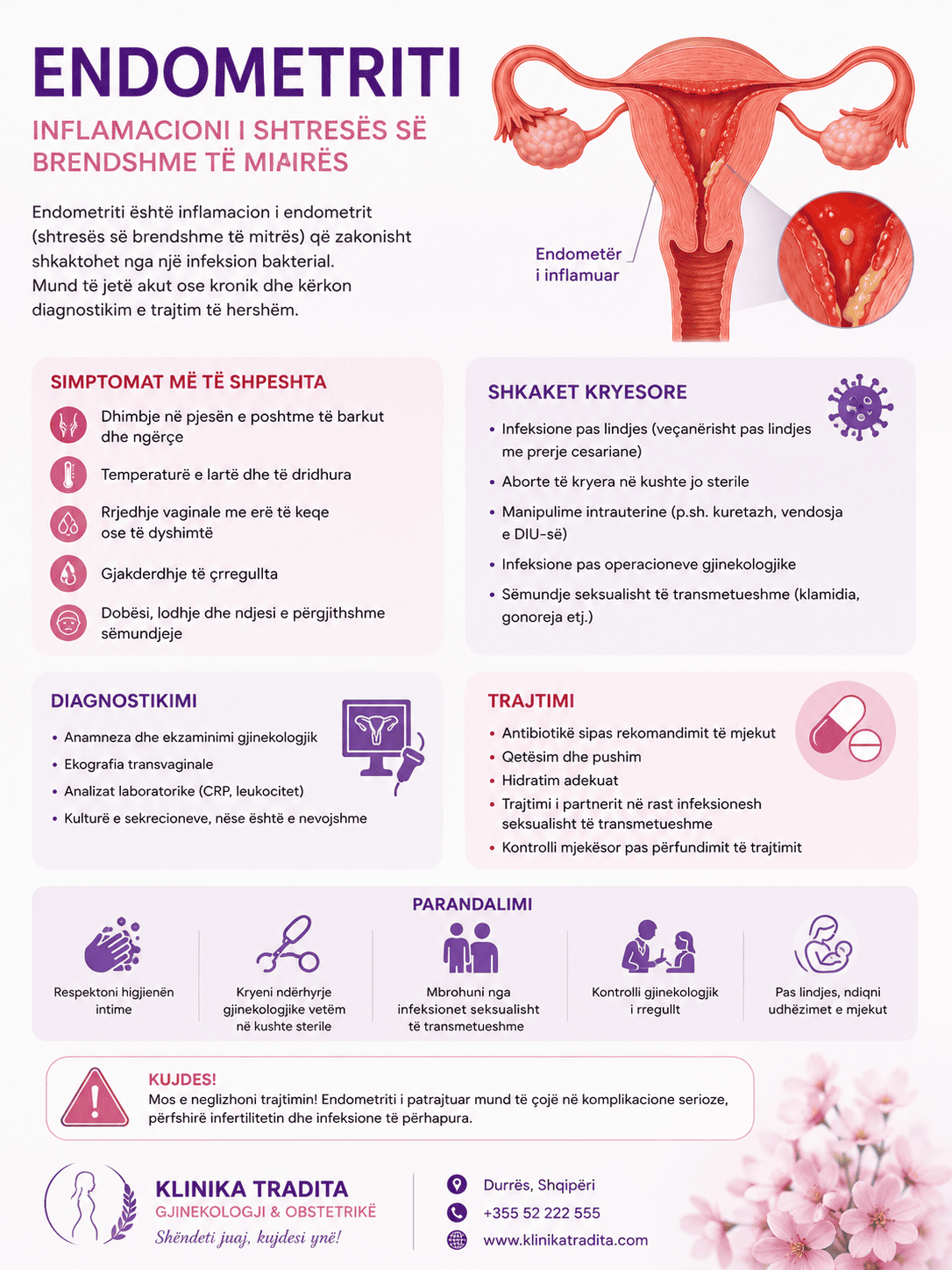 Illustration of endometritis showing inflamed uterine lining and bacteria.