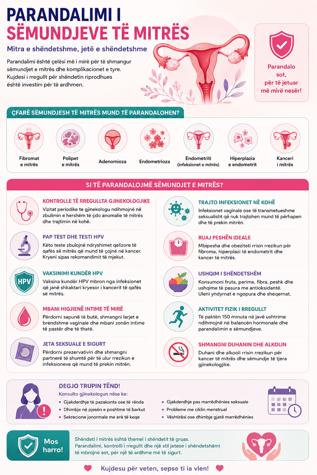 Illustration of pelvic floor muscles and organs for health awareness.
